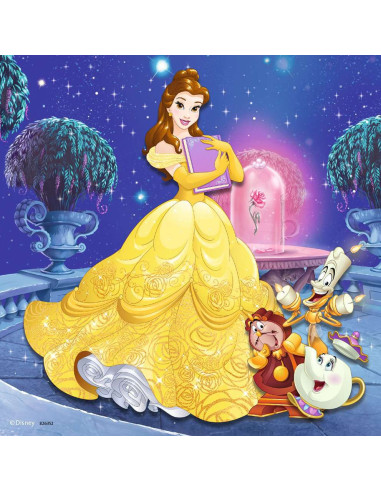 3X49B PRINCESSES ADVENTURES