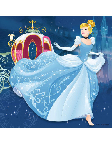 3X49B PRINCESSES ADVENTURES