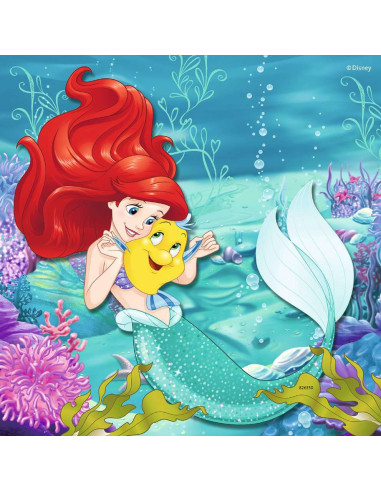 3X49B PRINCESSES ADVENTURES