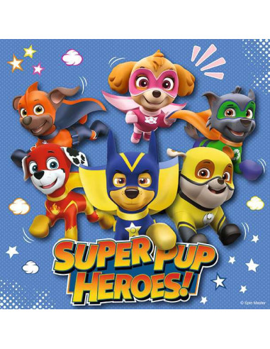 3X49B PAW PATROL SUPER PUPS