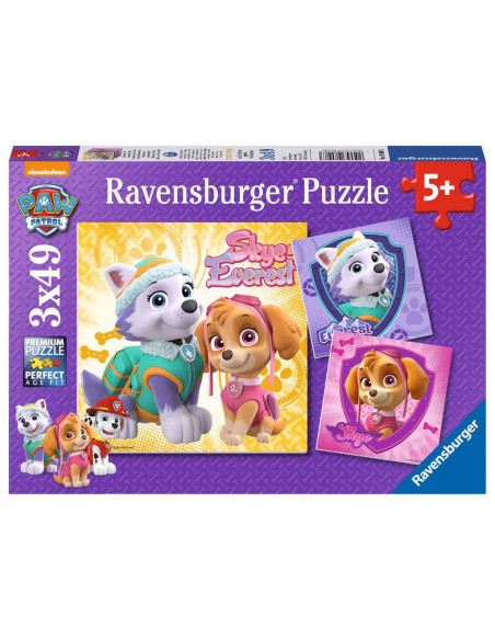 3X49B PAW PATROL GLAM
