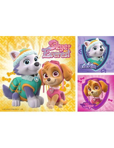 3X49B PAW PATROL GLAM