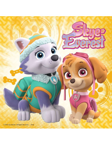 3X49B PAW PATROL GLAM