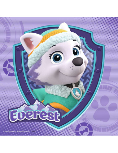 3X49B PAW PATROL GLAM