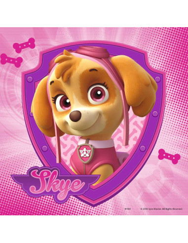 3X49B PAW PATROL GLAM