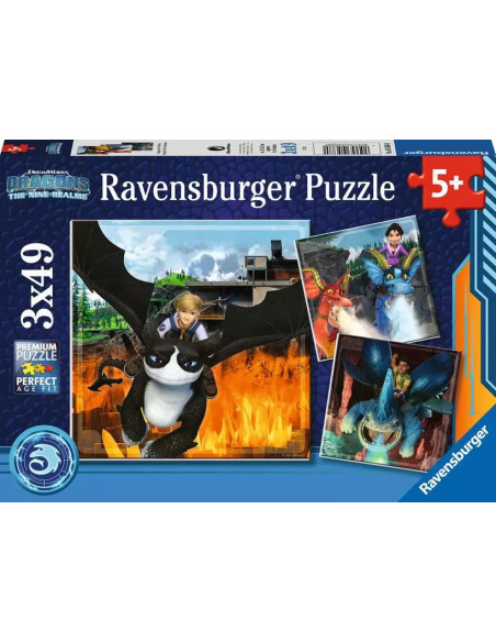 3X49B TRAIN YOUR DRAGON