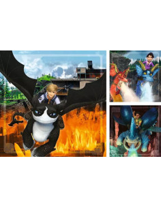 3X49B TRAIN YOUR DRAGON 2