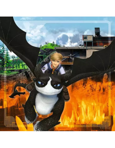 3X49B TRAIN YOUR DRAGON