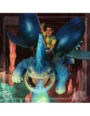 3X49B TRAIN YOUR DRAGON