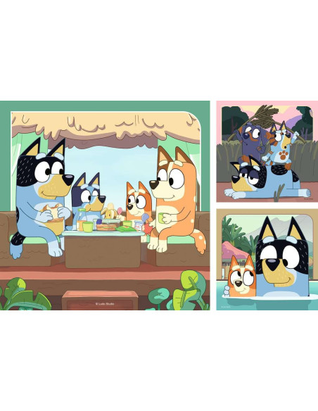 3X49B BLUEY