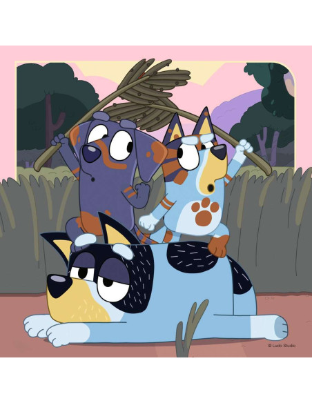 3X49B BLUEY
