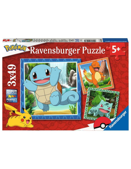 3X49B POKEMON