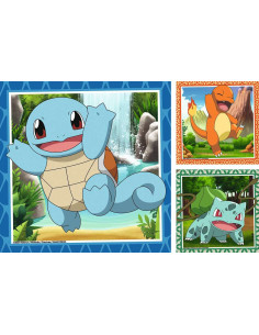 3X49B POKEMON 2
