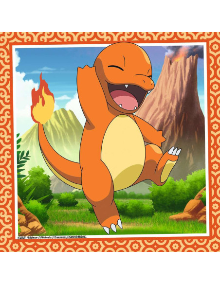 3X49B POKEMON