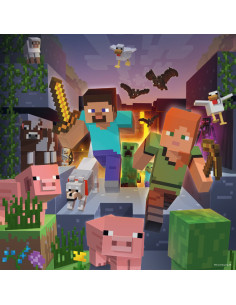 3X49B MINECRAFT BIOMES 2