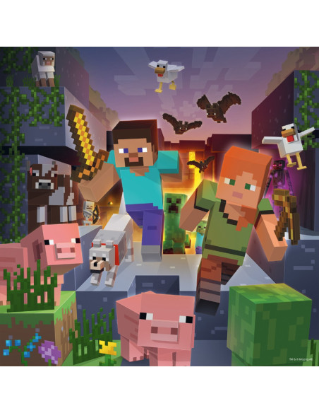 3X49B MINECRAFT BIOMES