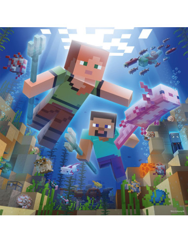 3X49B MINECRAFT BIOMES