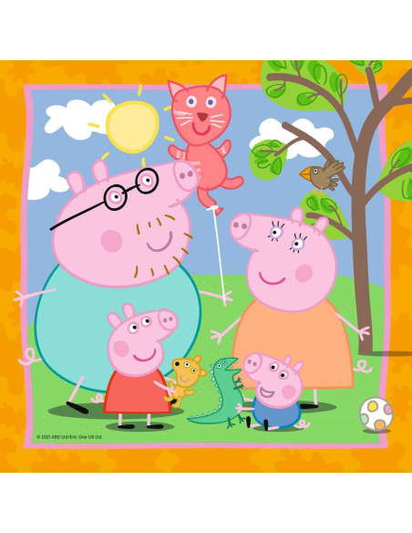 3X49B PEPPAS FAMILY