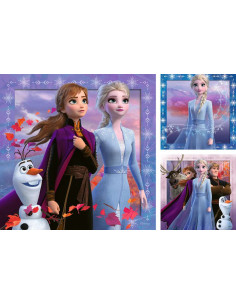 3X49B FROZEN 2 2