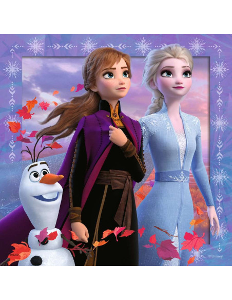 3X49B FROZEN 2