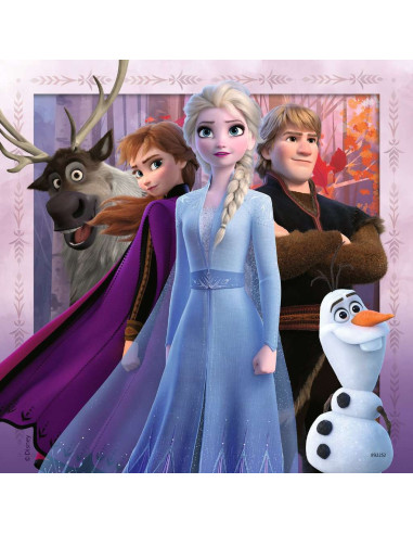 3X49B FROZEN 2