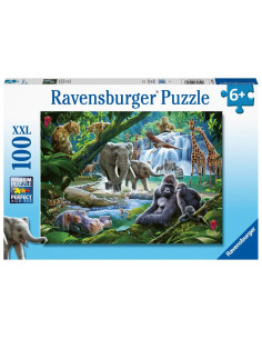 100B JUNGLE FAMILIES