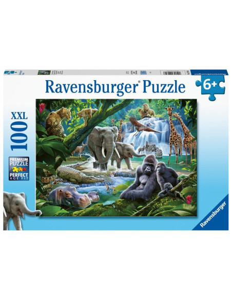 100B JUNGLE FAMILIES