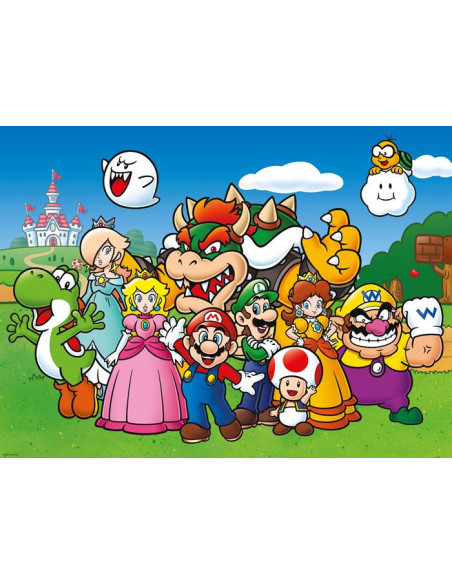 100B SUPER MARIO FUN