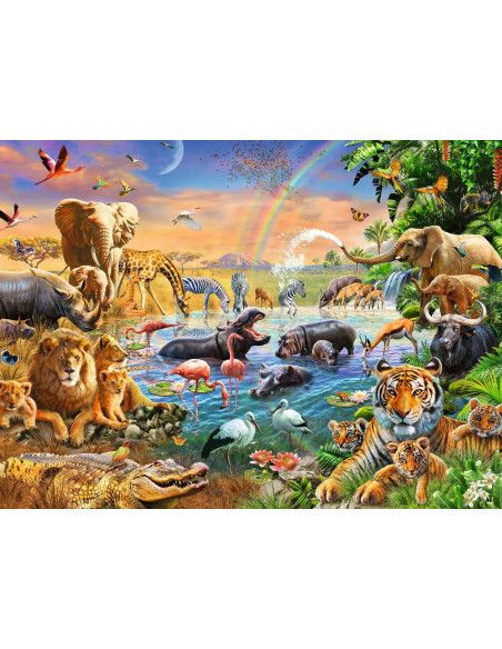 100B WATERHOLE