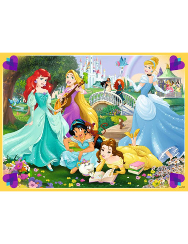 100B DISNEY PRINCESS