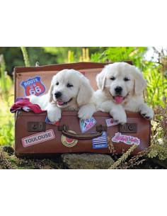 100B TRAVELING PUPS 2
