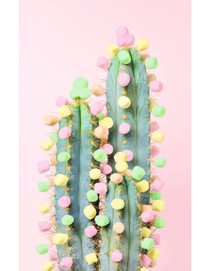 200B AD CACTUS 2