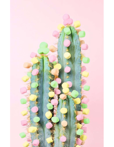 200B AD CACTUS