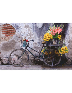 200B AD BICYCLE 2