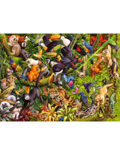 200B TROPICAL RAINFOREST 2