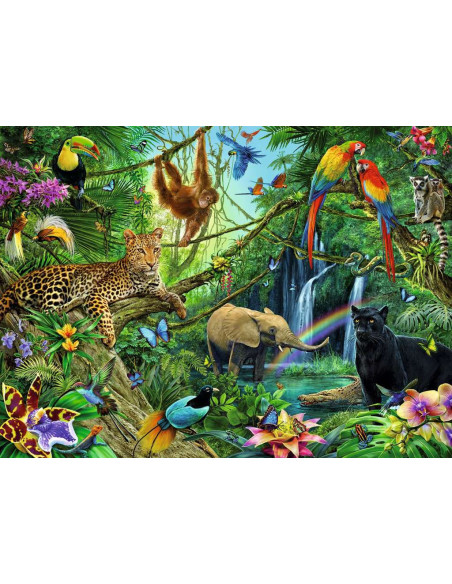 200B ANIMALS IN THE JUNGLE