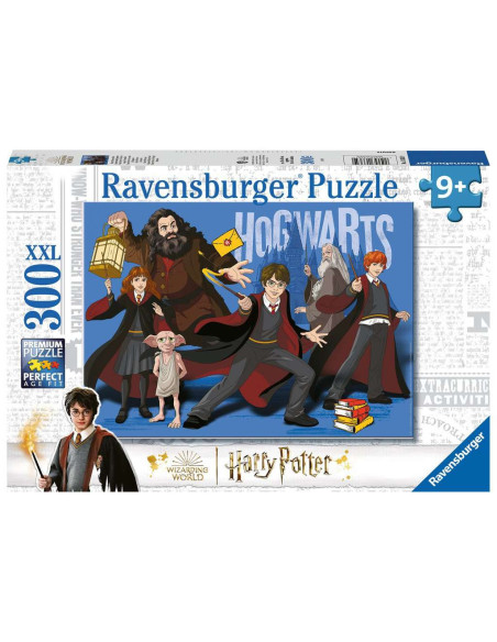 300B HARRY POTTER