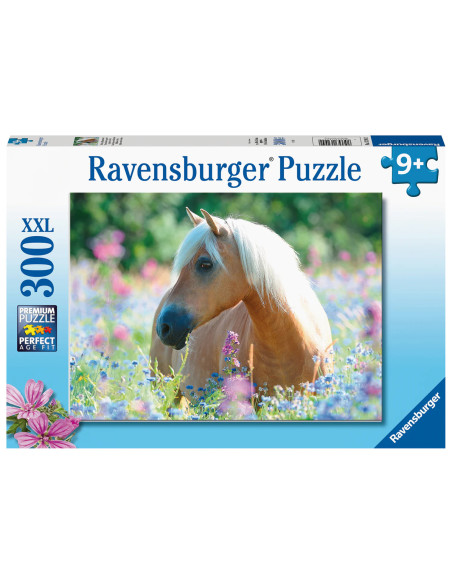 300B WILDFLOWER PONY