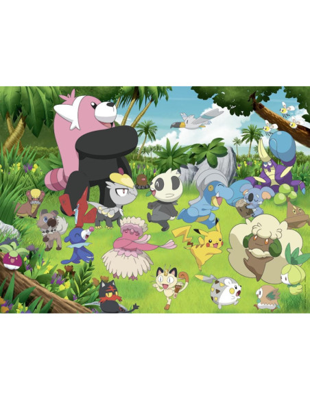 300B WILD POKEMON