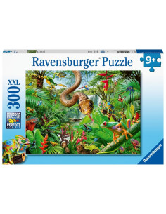 300B REPTILE RESORT