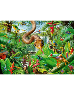 300B REPTILE RESORT 2