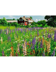 500B FARM IN SWEDEN 2