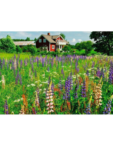 500B FARM IN SWEDEN
