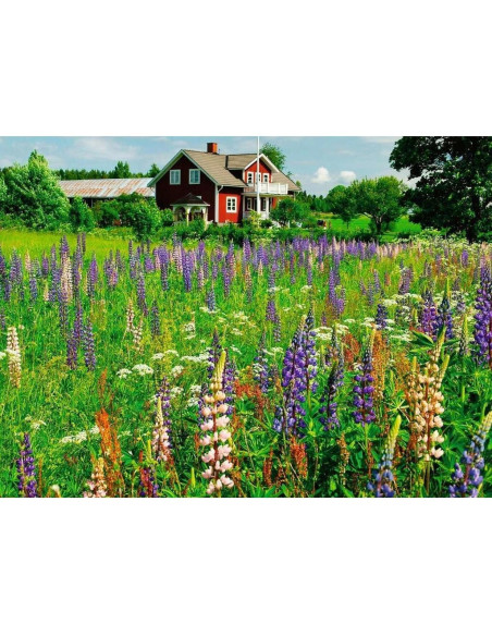 500B FARM IN SWEDEN