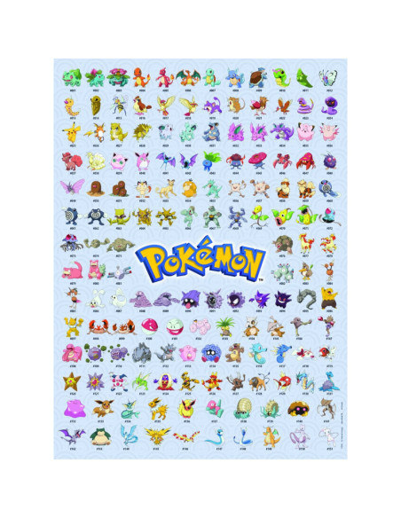 500B POKEMON THE FIRST 151