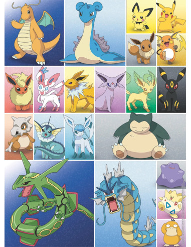 2X500B POKEMON COLLECTION