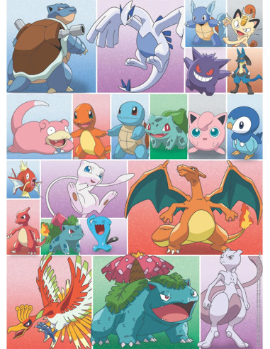 2X500B POKEMON COLLECTION