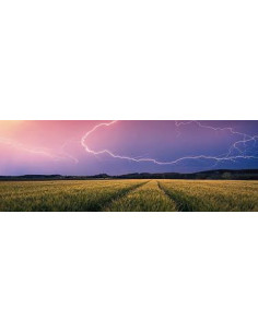 500B THUNDERSTORM 2