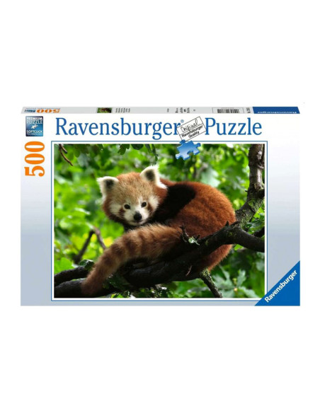500B RED PANDA