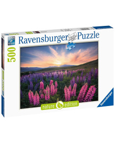 500B LUPINS
